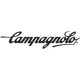 Campagnolo (10, 11 & 12 speed)